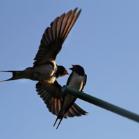 Где ж тебя носило?!