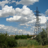 Паук распустил свои нити