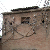 главная паутина