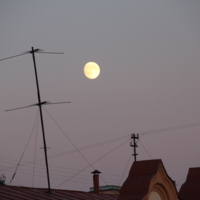 сети для луны