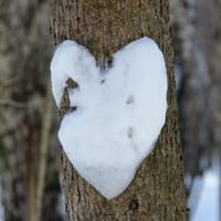 Ненадежная любовь