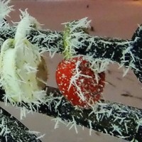 Скованные холодом.