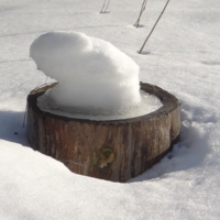 Процесс пошёл...