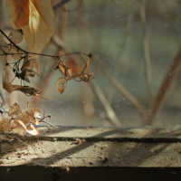 Солнце в окошко