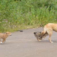 поколение бездомных.