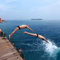 Краткая история плюха