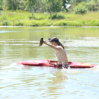главное - равновесие