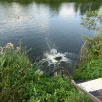 Художественный плюх)