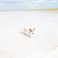 очень водичка соленая