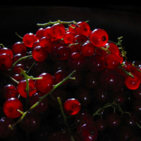 Красна ягода