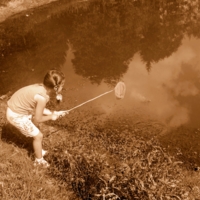 Кто не спрятался...  того поймаю