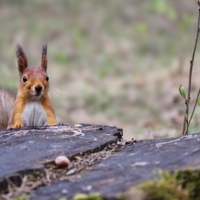 Я требую продолжения банкета!