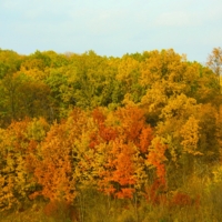 Все краски осени