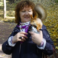 Где же птичка?