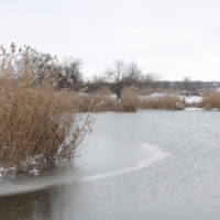 Лед и вода