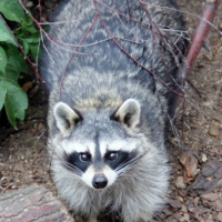 Есть что пополоскать?