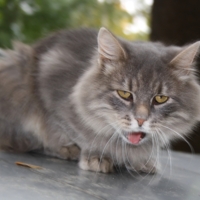 Лучше не нервируй меня!