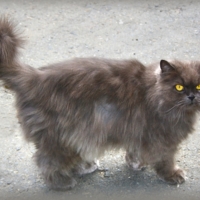 Не отвлекай, я на охоте