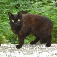 Кто здесь?!!