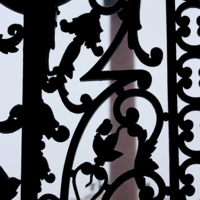 Найди воробушка