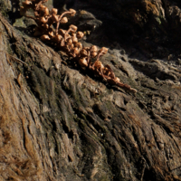 Отцы и дети