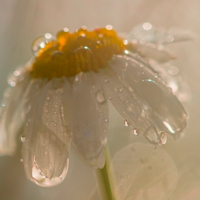 С добрым утром!