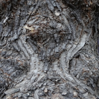 Жизнь - штука сложная.