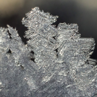 Ледяная фантазия