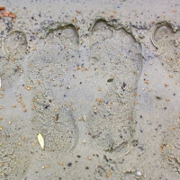 Я готов целовать песок...