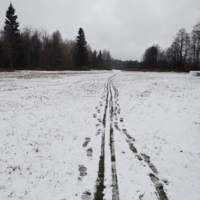 По первому снегу.