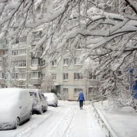 Первый снежок