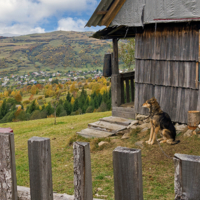 Без роскоши