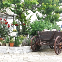 Южный дворик