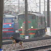 ты это ты туда не ходи