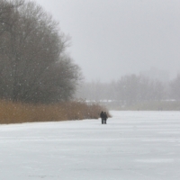 Прогулки по реке