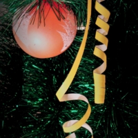 Новогоднее фото