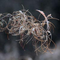 закрутились-завертелись