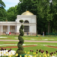 В Петергофе