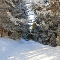 Дорога к Снежной Королеве