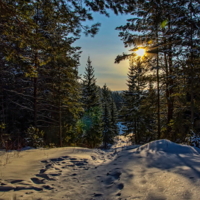 Мороз и солнце!