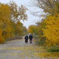 Осень жизни,