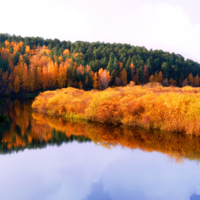 Осеннее безмолвие