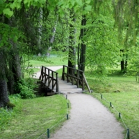 Там на неведомых дорожках