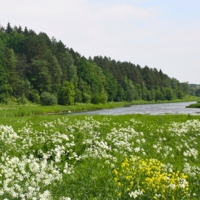 Лето на Москве-реке