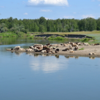 Жаркий полдень