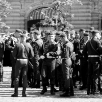 веселый парень