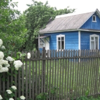 Синий домик в зелёном саду