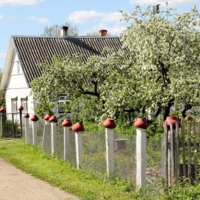 От горшка два вершка!