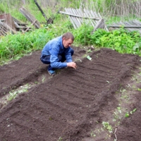 Край ты мой заброшенный ...