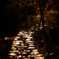 Ночная дорожка в дождливую осень